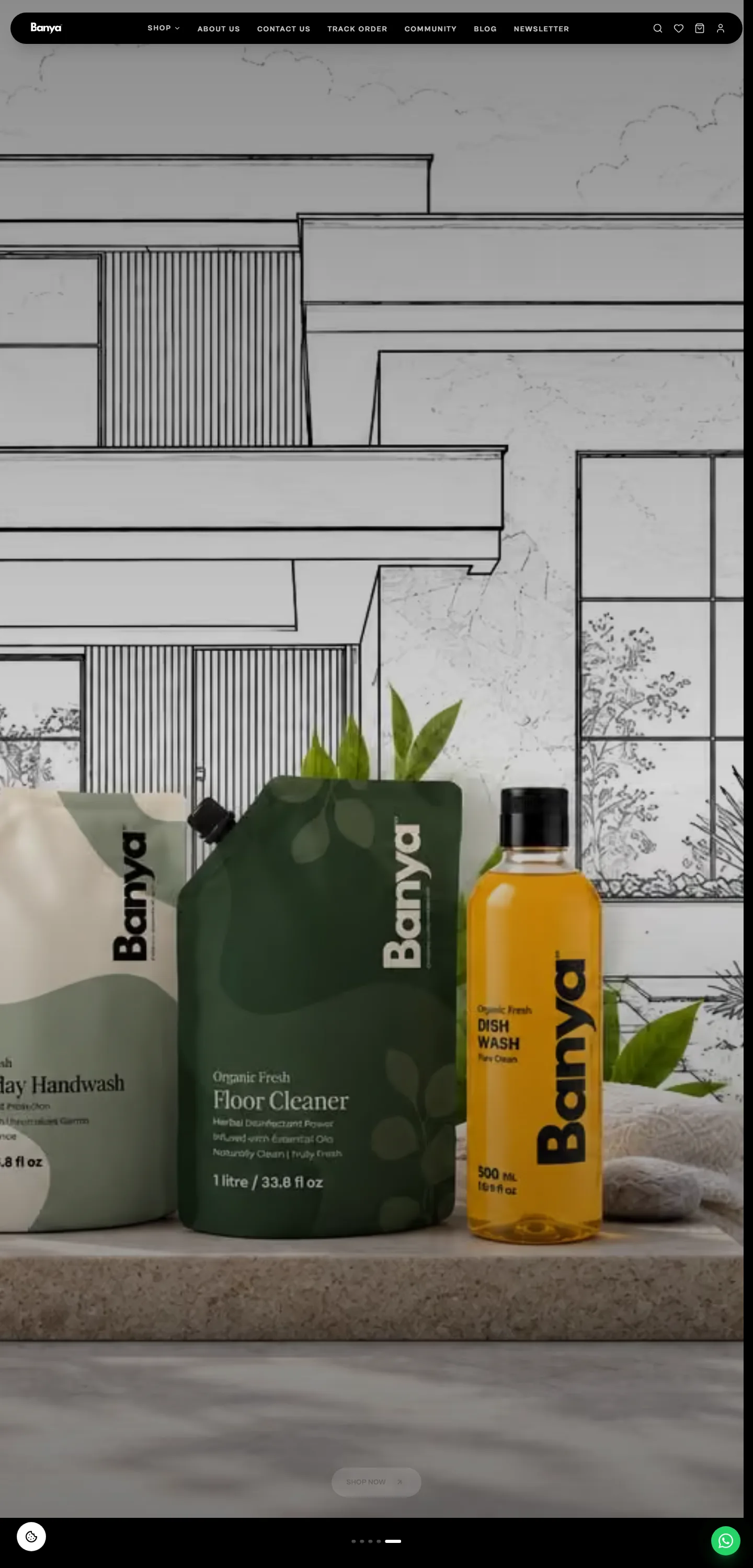Banya website preview
